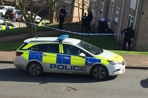 Man held by police in Paignton after male suffers serious injuries ...