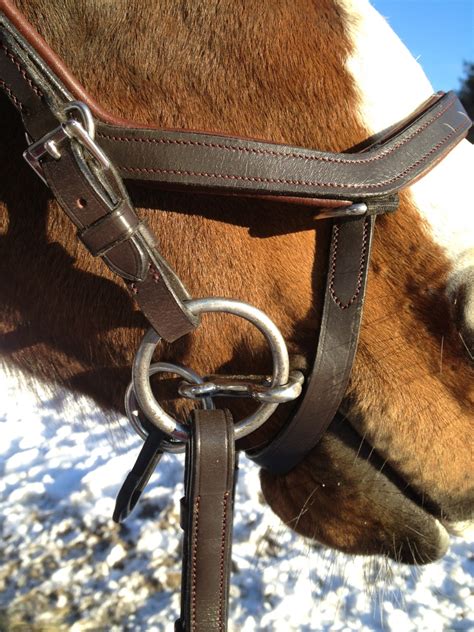 How to assemble the Micklem Bridle - EquestrianHow2