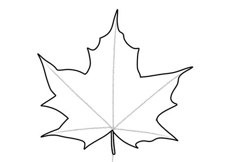 How to Draw a Maple Leaf | Design School