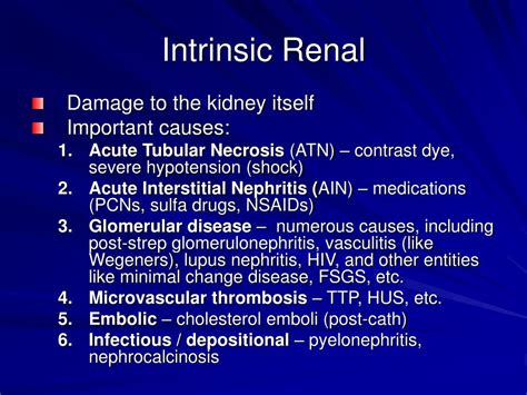 PPT - Acute Renal Failure PowerPoint Presentation, free download - ID ...