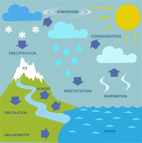 What are condensation? Definition, Types and Importance - chemistry | AESL