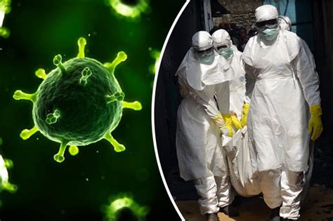 Virus outbreak: Deadly disease will WIPE OUT life on 'unprepared' Earth ...