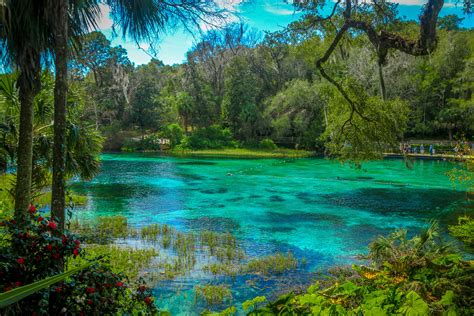 The Springs of Florida — Miles 2 Go