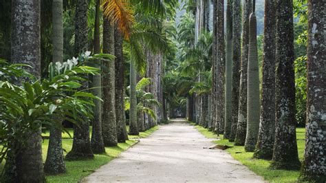 Jardim Botânico do Rio de Janeiro Rio de Janeiro tickets: comprar ingr