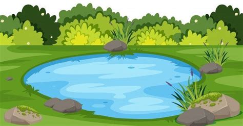 Paisagem com pequeno lago no parque | Vetor Premium | Illustration de ...