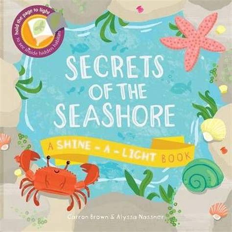 Secrets of the Seashore: A Shine-a-Light Book (Shine-A Light Books ...