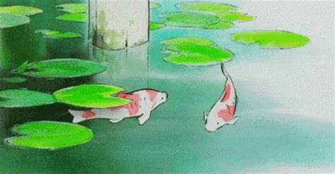 Cartoon Fish GIF - Cartoon Fish - GIF-ləri kəşf edin və paylaşın