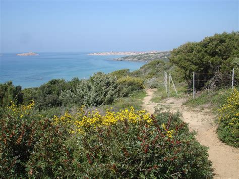 Sardinia, Italy | A Blue Zones Member