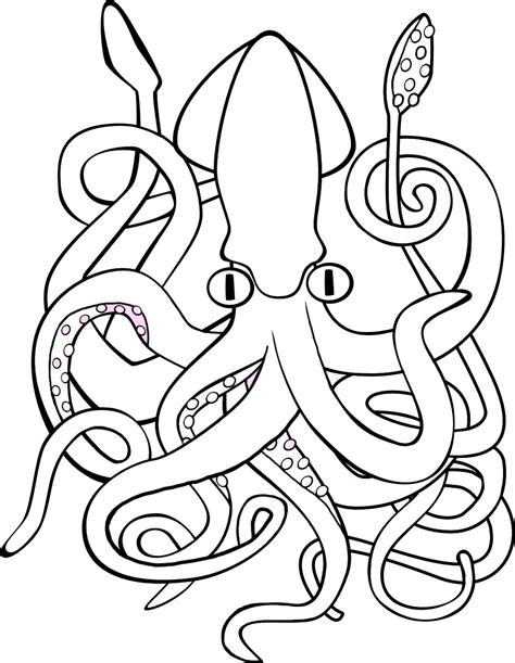 Giant Squid Coloring Page - BEST GAMES WALKTHROUGH