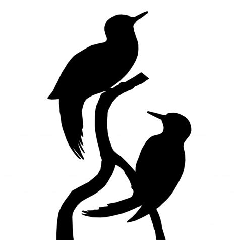 Bird Silhouette Free Stock Photo - Public Domain Pictures