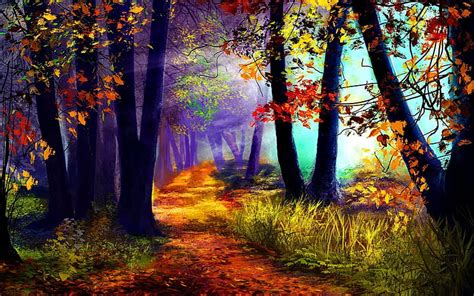 Colorful forest, forest, colorful, quiet, autumn, lovely, sunlight ...