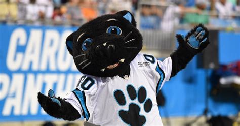 Panthers' Sir Purr named NFL Mascot of the Year