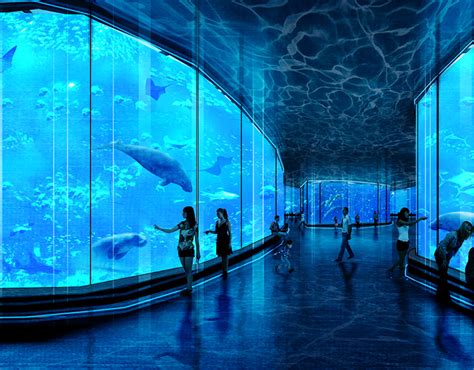 Dugong Research and Conservation Center | Behance