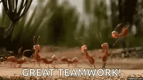 Great Team Work GIF - Great TeamWork Ants - Discover & Share GIFs