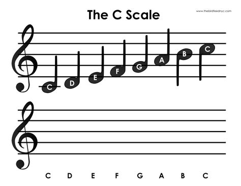 C Scale Activity for Kids | Draw the Scale! Major Scale, C Major, Piano ...