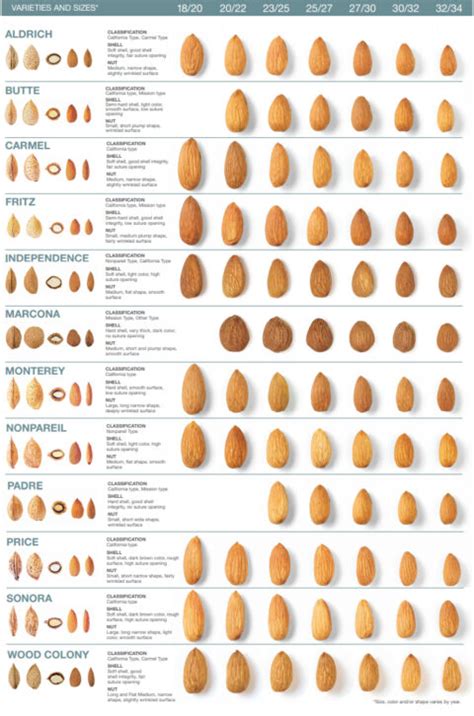 Almond Classification - Minerva Global