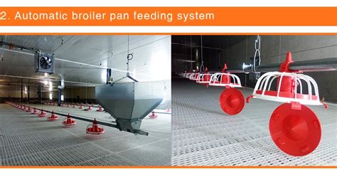 China Poultry House Complete Farming Equipments System Manufacturers ...