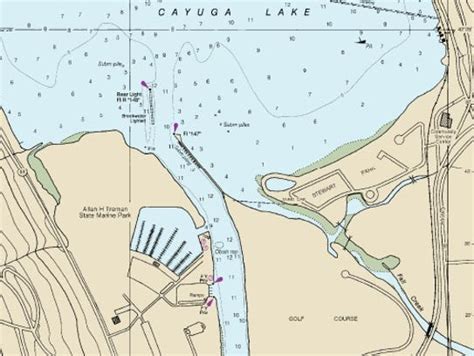 What stinks? A strange sewage stench on Cayuga Inlet