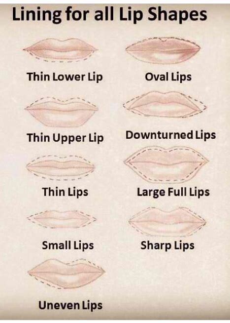 How to Contour Different Lips Shapes - AllDayChic