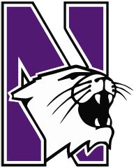 File:Northwestern wildcats CMKY 80 100 0 0.svg - Wikimedia Commons