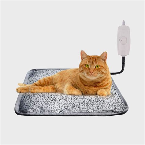 9 Best Heated Cat Beds | The Family Handyman