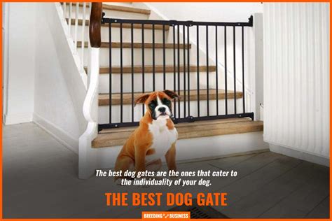 7 Best Dog Gates for Stairs – Mounted, Free-standing, Reviews & FAQs