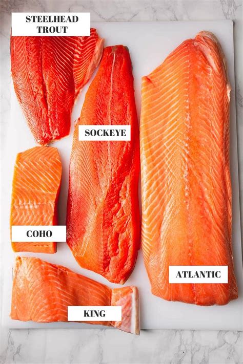 Wild Coho Salmon Fillet Recipe | Besto Blog