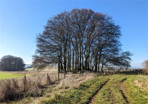 Epic Avebury Walk: 6 Incredible Historic Sites Await! - Wanderers of ...