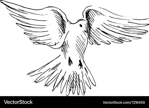 Flying Doves Vector