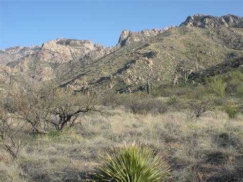 CSMS GEOLOGY POST: SANTA CATALINA MOUNTAINS