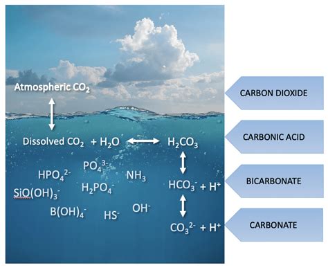 Ocean Acidification - pH sensing in seawater | ANB Sensors