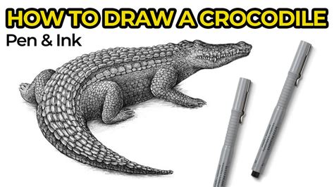 Outstanding Tips About How To Draw A Crocodile - Springwitness