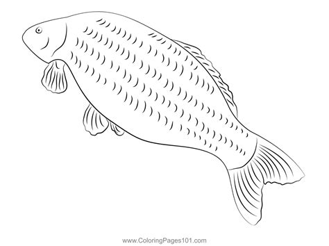 Common Carp Coloring Page Printable Coloring Pages, Coloring Pages For ...