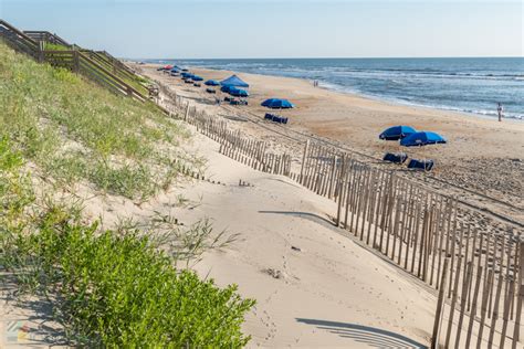 Are Dogs Allowed On Outer Banks Beaches