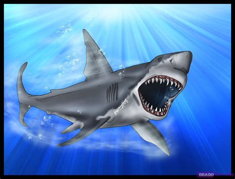 Happy Shark Week - Watch out for this bite!