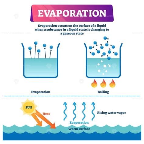 Evaporation vector illustration - VectorMine