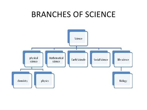 👍 3 branches of science. The Branches of Science. 2019-02-16