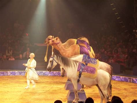 Big Apple Circus will amaze and entertain you!