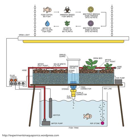 Aquaponics Drip System #Aquaponics20GallonFishTank Code: 8021064896 # ...