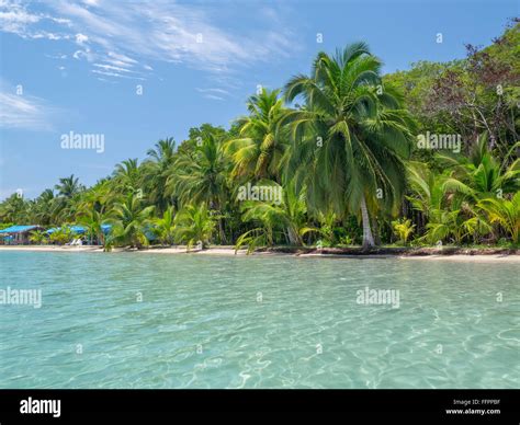 Beach in bocas del toro Stock Photo - Alamy