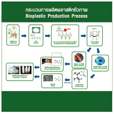 bio-plastic