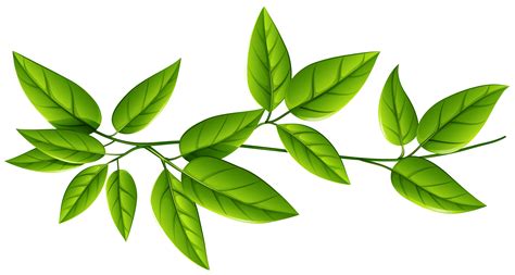 Leaf Green Clip art - green leaves png download - 5164*2760 - Free ...