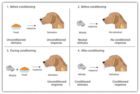 Bài 2: Thuyết hành vi (Behaviourism)