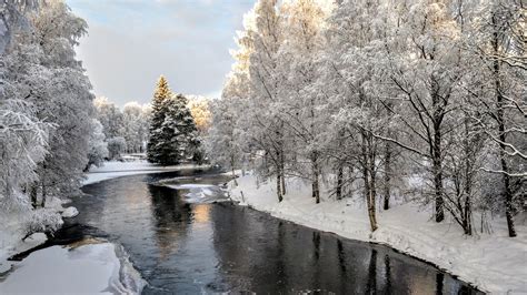 Winter wonderland of Viinikanjoki (Parkano Central Finland) [OC ...