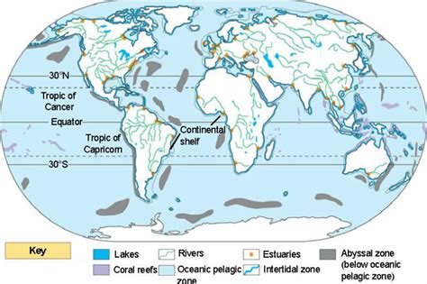 Aquatic Biomes - Esther Nofodji's Biology project