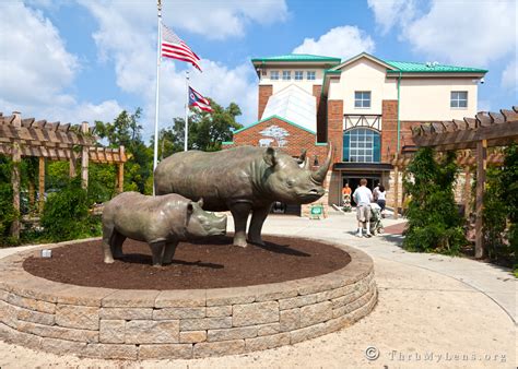 A Day At The Cincinnati Zoo | ThruMyLens