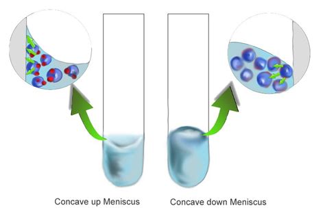 Cohesive And Adhesive Forces - Adhesion and Cohesion (PDF Download ...