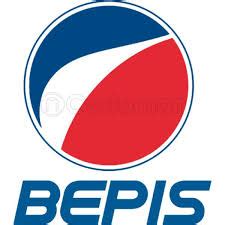 bepis - npm