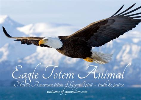 Eagle Symbolism & Eagle Meaning | Eagle Spirit Animal Guidance