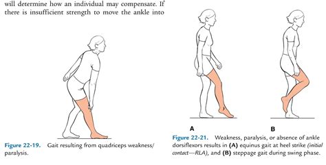 *Gait 2* - Physical Therapist Assistant 180 with P. Hill at Washtenaw ...